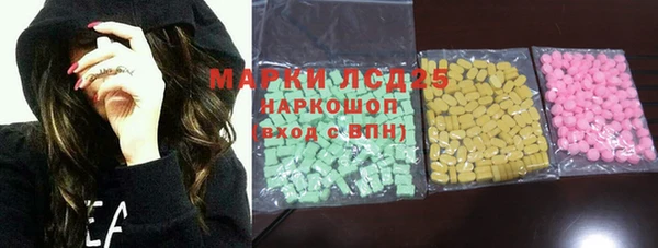 индика Алексин