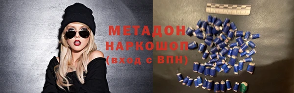 индика Алексин