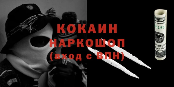 хмурый Аркадак