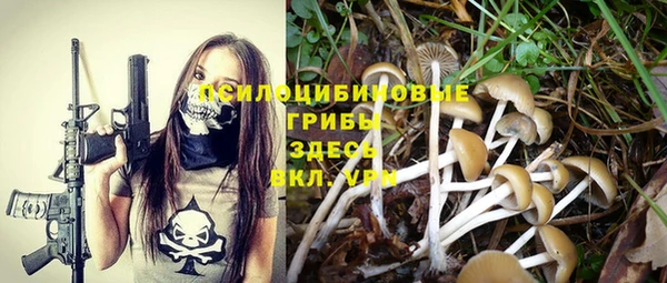 не бодяженный Алзамай