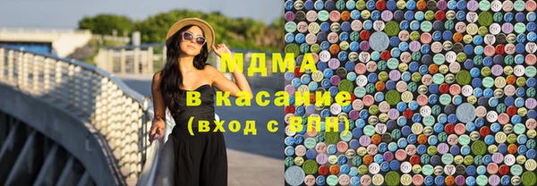 хмурый Аркадак