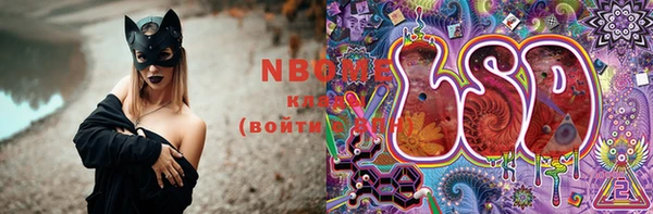 индика Алексин