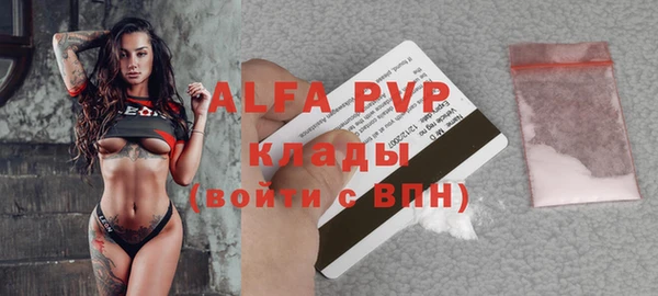 индика Алексин