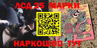 амф Сланцы
