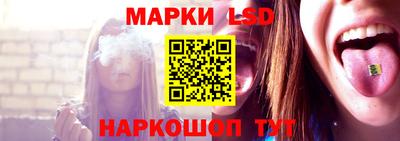 амф Сланцы