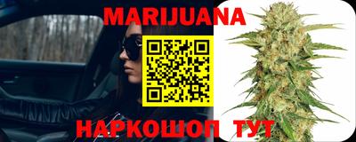 амф Сланцы