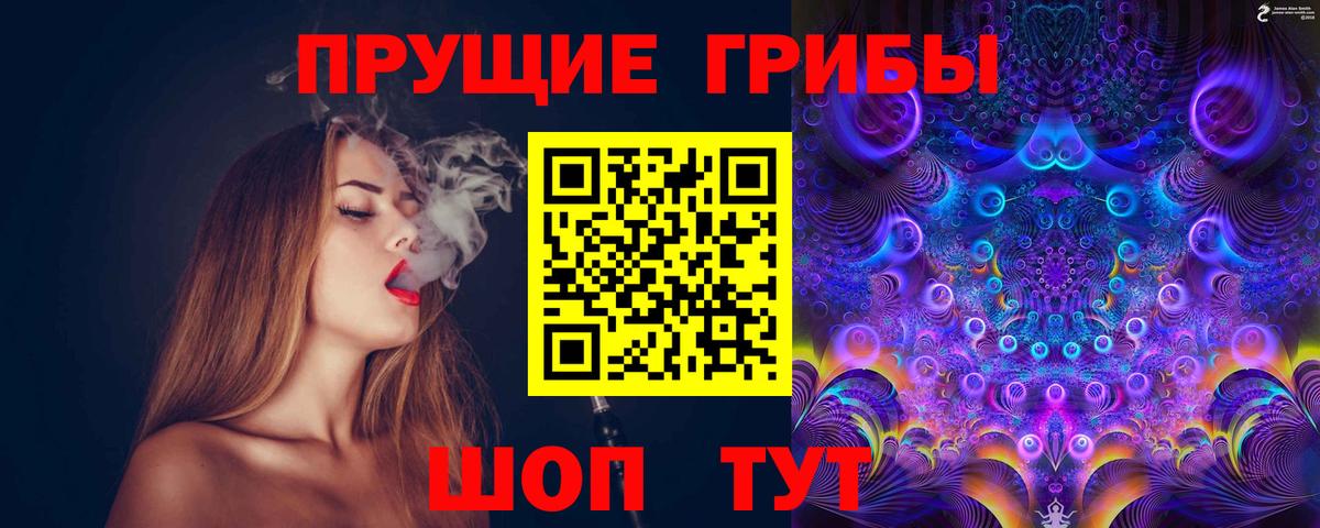Псилоцибиновые грибы Psilocybine cubensis Нурлат
